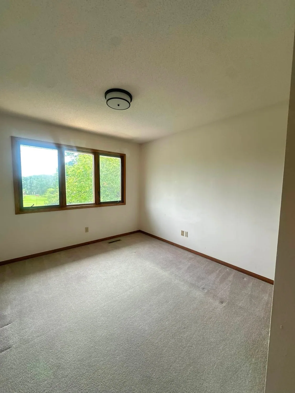 Freshly cleaned carpeted room