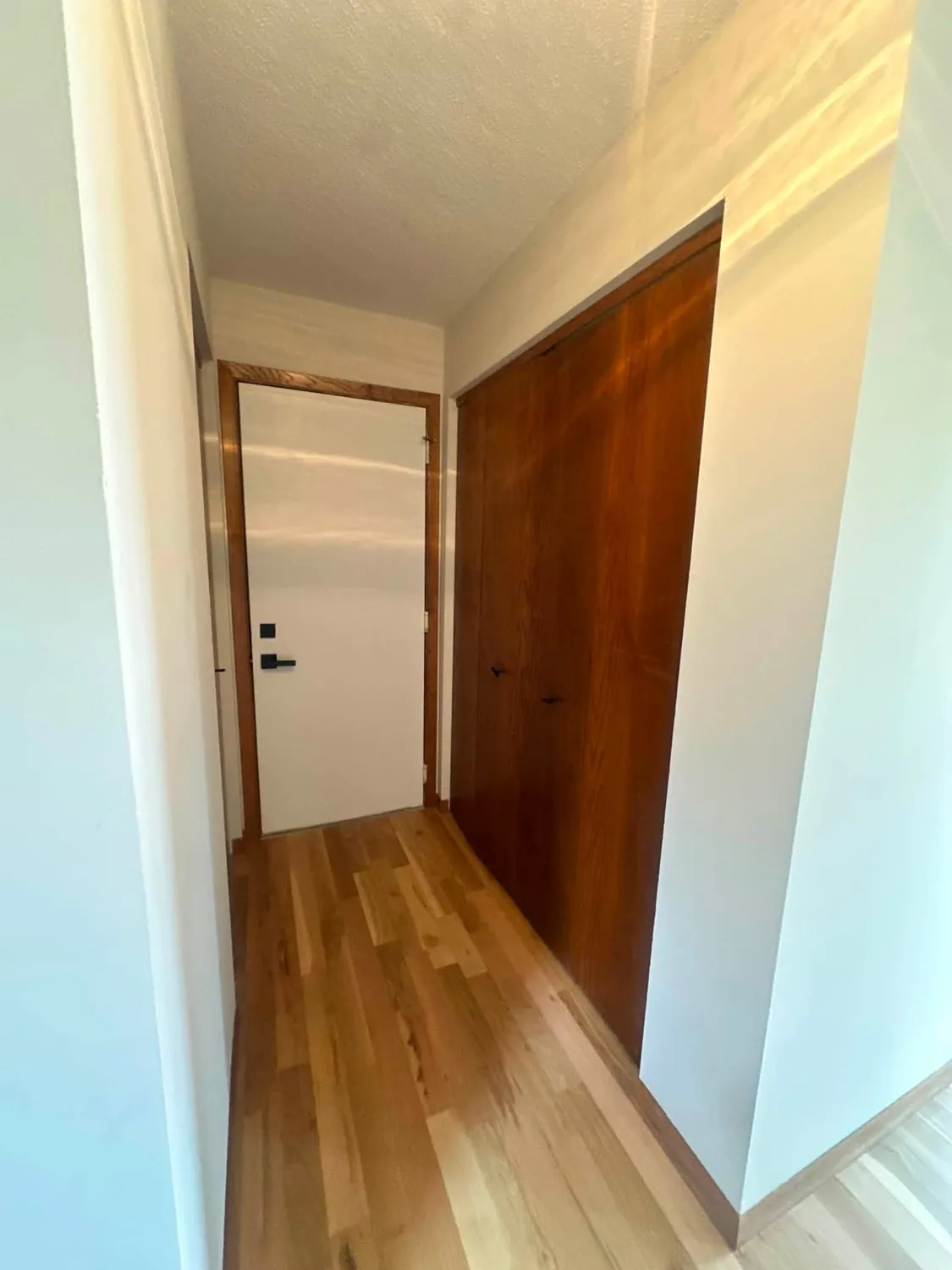 Clean hallway hardwood flooring