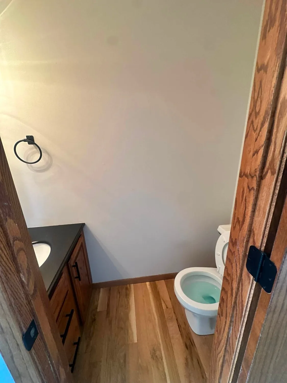 Powder room vanity and sink